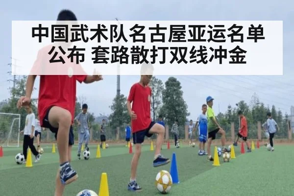 中国武术队名古屋亚运名单公布 套路散打双线冲金